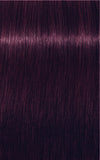 IGORA ROYAL 0-99 Violet Concentrate 60 ml