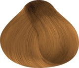 Jungle Fever Light Intense Copper Golden Blond 8.334  100ml