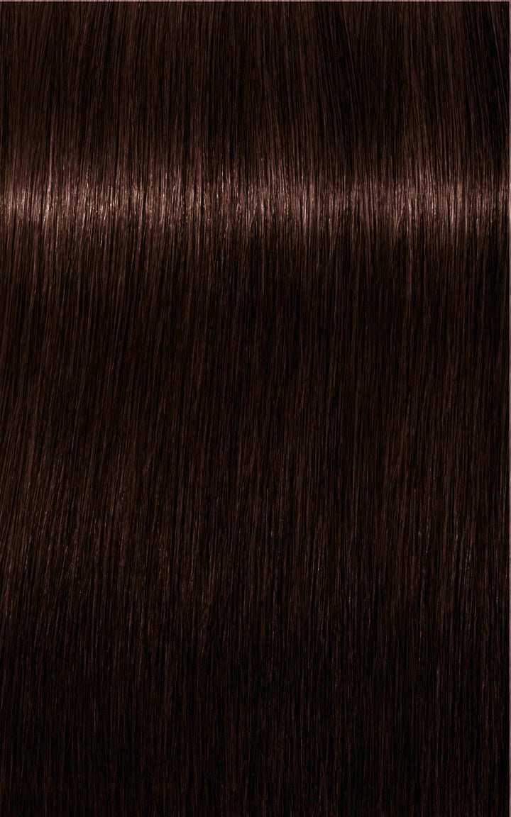 IGORA ROYAL 3-68 Dark Brown Chocolate Red 60 ml