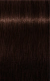 IGORA ROYAL 3-68 Dark Brown Chocolate Red 60 ml