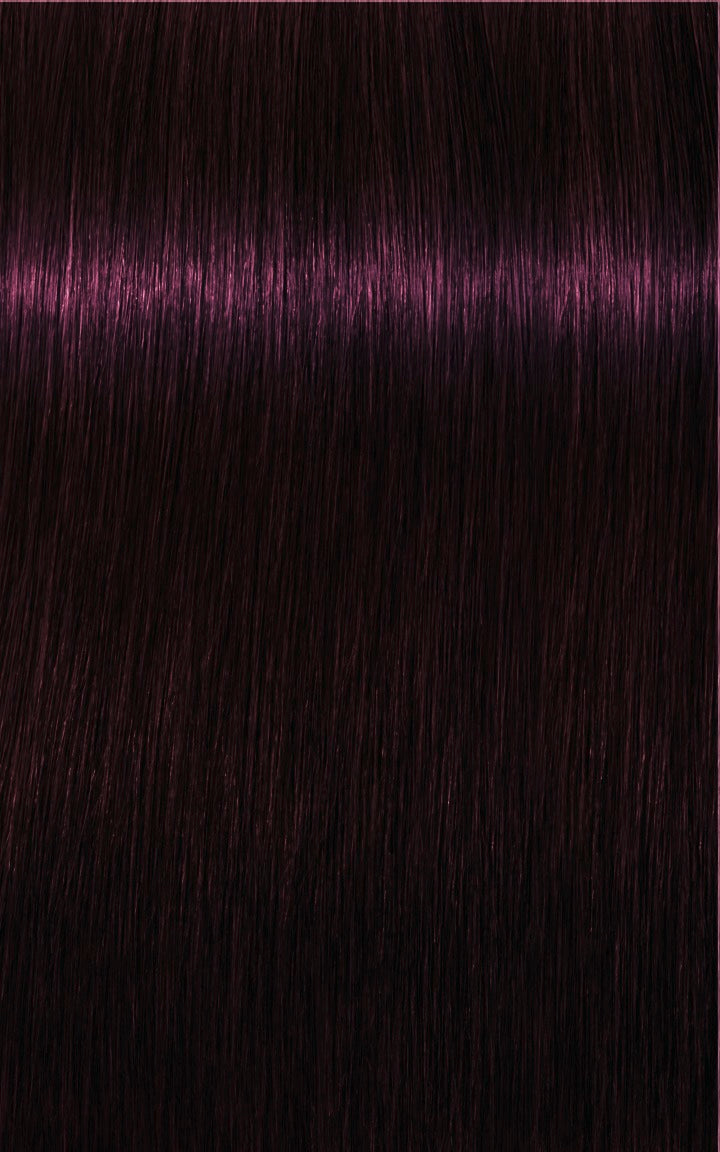 IGORA ROYAL Absolutes 4-90 Medium Brown Violet Natural 60ml