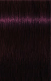 IGORA ROYAL Absolutes 4-90 Medium Brown Violet Natural 60ml