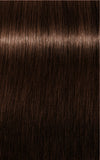 IGORA ROYAL Absolutes 5-60 Light Brown Chocolate Natural 60 ml