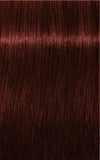 IGORA ROYAL Absolutes 5-80 Light Brown Red Natural 60 ml