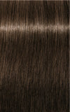 IGORA ROYAL 6-00 Dark Blonde Natural Extra 60 ml