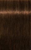 IGORA ROYAL Absolutes 6-50 Dark Blonde Gold Natural 60 ml