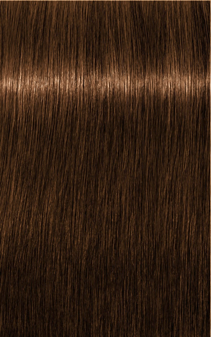 IGORA ROYAL Absolutes 6-60 Dark Blonde Chocolate Natural 60 ml