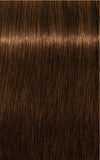 IGORA ROYAL Absolutes 6-60 Dark Blonde Chocolate Natural 60 ml