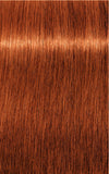 IGORA ROYAL 7-77 Medium Blonde Copper Extra 60 ml