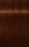 IGORA ROYAL Absolutes 7-470 Medium Blonde Beige Copper Natural 60ml